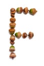 Autumn alphabet. Letter F is made of acorns