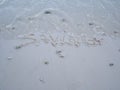 The letters saving were written on the sand with natural beauty Royalty Free Stock Photo