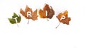 green and brown autumn leaves spelling the word trip, on isolated background