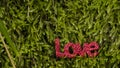 Letters word `LOVE` on moss in the forest