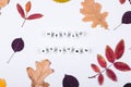 Letters words Hello Autumn on grey background. Colorful autumn leaf. Cozy mood concept. Flat lay Royalty Free Stock Photo