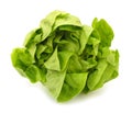 Lettuce