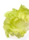 Lettuce