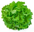 Lettuce Royalty Free Stock Photo