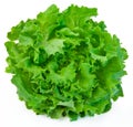 Lettuce