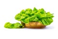 Lettuce Royalty Free Stock Photo