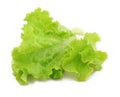 Lettuce