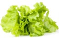 Lettuce