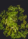 Lettuce background isolate Royalty Free Stock Photo