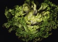 Lettuce background isolate