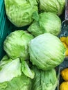 Lettuce background isolate Royalty Free Stock Photo