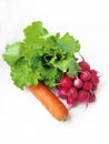 lettuce, carrot and a bunch of radishes on a white background