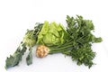 Lettuce, celery, kohlrabi and parsley Royalty Free Stock Photo
