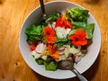 Lettuce with cucumber, tomato, radishes, feta cheese and nasturtium flowers Royalty Free Stock Photo