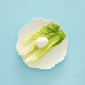 lettuce end eggs top view. Jewish pesah celebration symbols & x28;jewish Passover holiday& x29;.