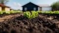 lettuce farm, black soil and blur cottage in the middle of the farm. Product display montage. Royalty Free Stock Photo