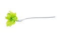 Lettuce on a fork on a white background Royalty Free Stock Photo