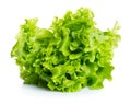 Lettuce