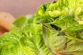 Lettuce in glass bowl on a wooden plate