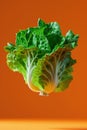 Lettuce Sculpture Orange Canvas AI Generated Royalty Free Stock Photo