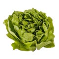 Lettuce