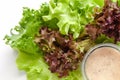 Lettuce with homemade salad dressing on white background Royalty Free Stock Photo