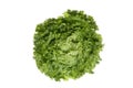 Lettuce (Lactuca sativa var. capitata), close up Royalty Free Stock Photo