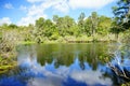 Lettuce lake Royalty Free Stock Photo