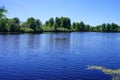 Lettuce Lake Park,