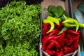 Lettuce leaf, green and red hot chilli pepper in cartons Royalty Free Stock Photo