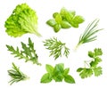 Lettuce leaf isolated Royalty Free Stock Photo