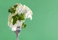Lettuce leaf and parsley sprig on a fork on a green background Royalty Free Stock Photo