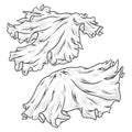 Lettuce leaf sticker monochrome detailed