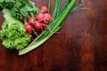 lettuce leaves, a bunch of spring onions and radishes on a dark wooden background. Royalty Free Stock Photo
