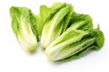 Lettuce leaves cabbage. Generate Ai Royalty Free Stock Photo