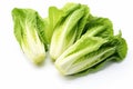 Lettuce leaves cabbage. Generate Ai