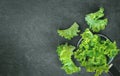 Lettuce leaves. Royalty Free Stock Photo