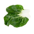 Lettuce leaves isolated on a white background