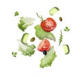 Lettuce leaves, olives, arugula, cut cucumber and tomatoes falling on white
