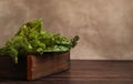 lettuce leaves royal feast in a wooden box