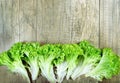 Lettuce leaves on a wooden background. copy spaces.