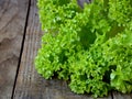 Lettuce leaves on a wooden background. Spring Green. Royalty Free Stock Photo