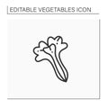 Lettuce line icon