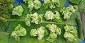 Lettuce in Local Fresh Market