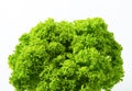 Lettuce Lollo Bionda Royalty Free Stock Photo