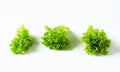 Lettuce Lollo Bionda Royalty Free Stock Photo