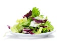 Lettuce mix Royalty Free Stock Photo