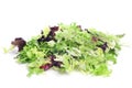 Lettuce mix Royalty Free Stock Photo