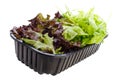Lettuce mix Royalty Free Stock Photo