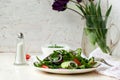 Lettuce mix of rukolly, tomatoes, cucumbers with rings of red on Royalty Free Stock Photo